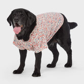 Dog BBQ Shirt